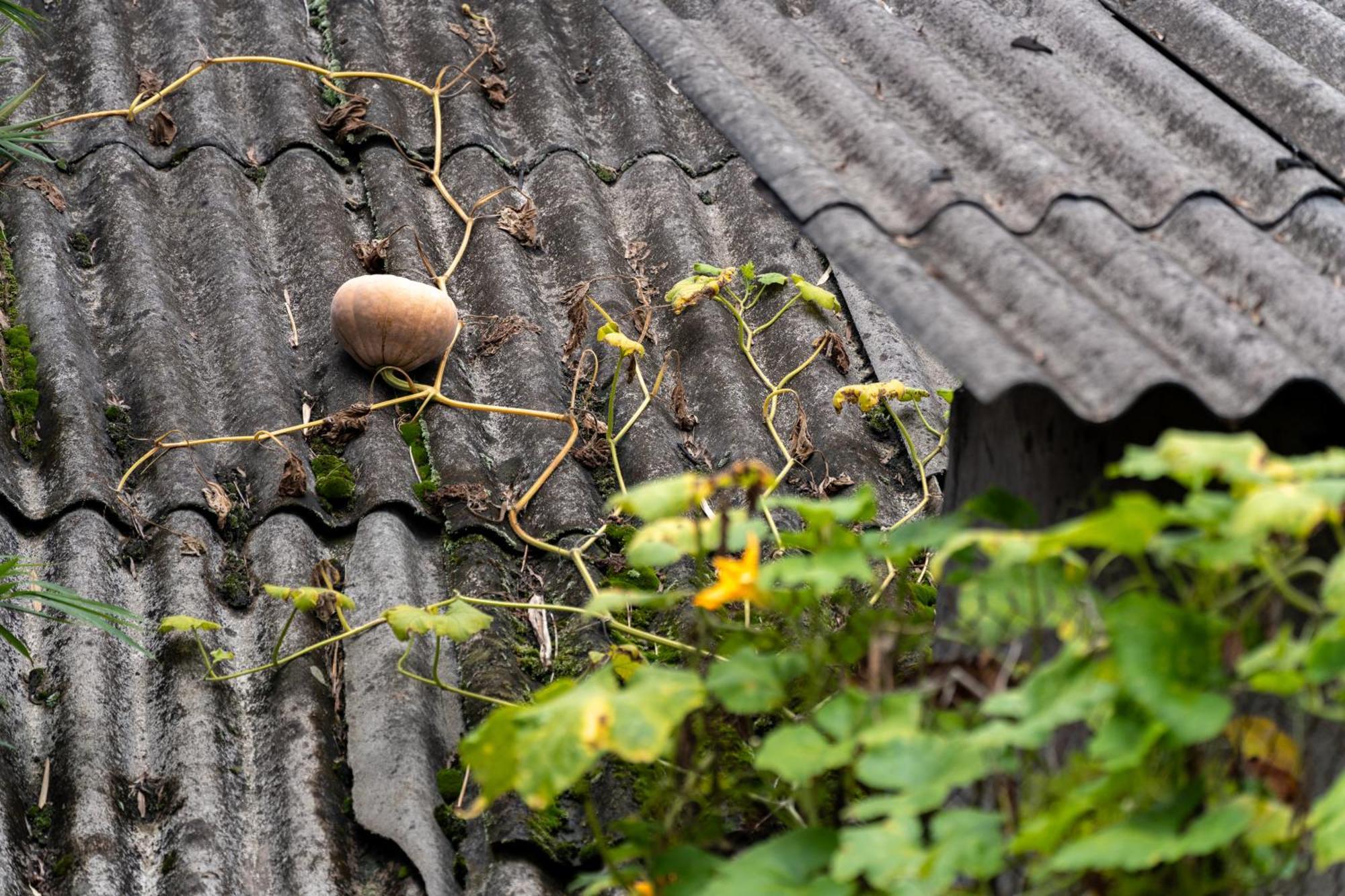 De Yang House Sa Pa Lägenhet Exteriör bild